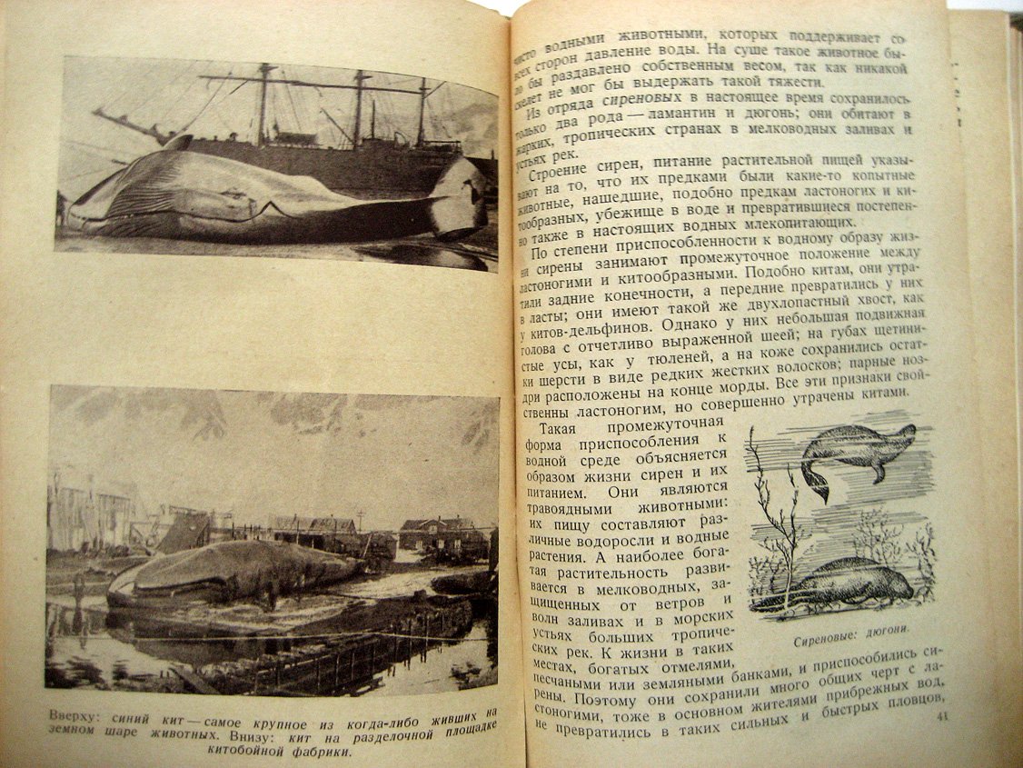 Море. Сборник
