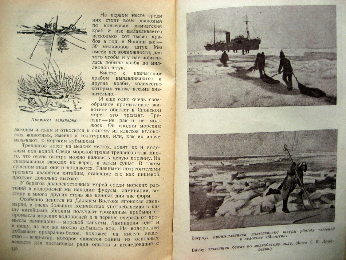 Море. Сборник