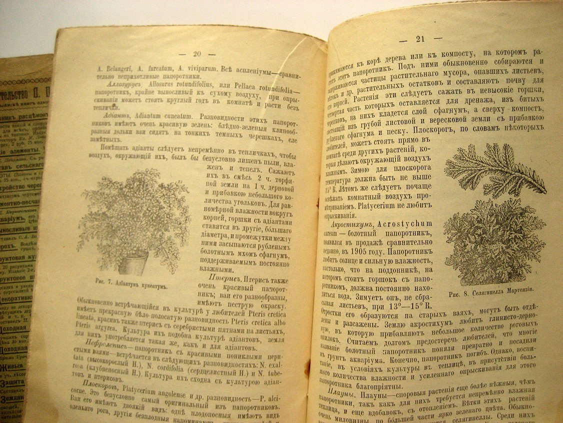 Пылков А. Культура редких и нежных растений в комнатах.