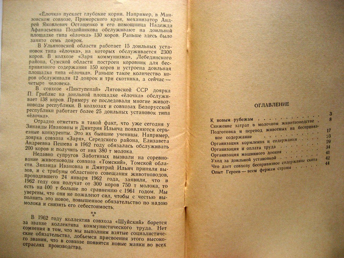 Веселов Н., Матвеев В. Беспривязное содержание скота.