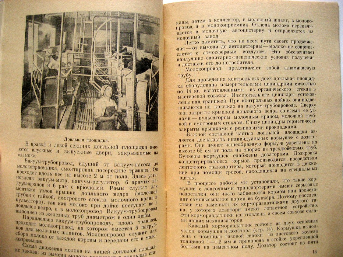 Веселов Н., Матвеев В. Беспривязное содержание скота.