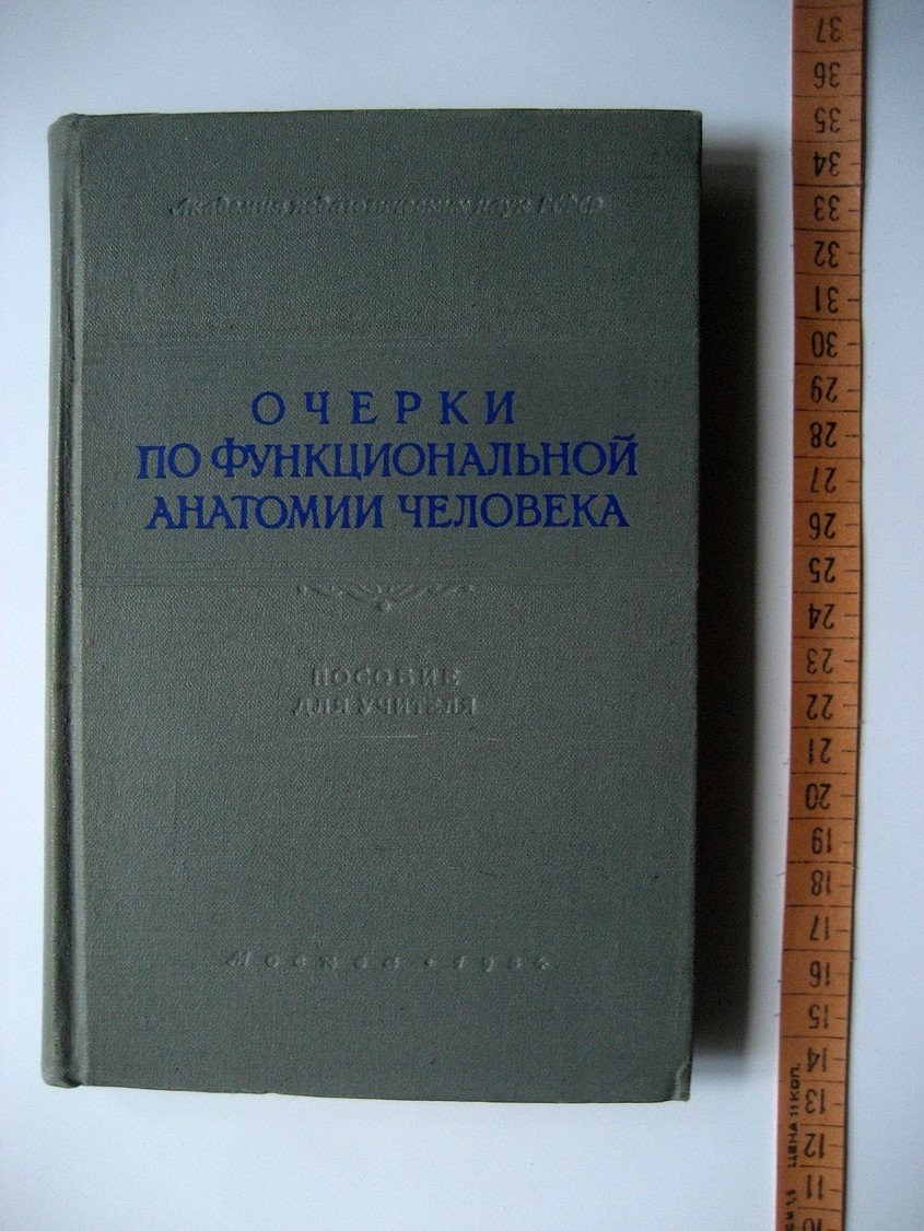 Ковешникова А., Клебанова Е., Яковлева Е. Очерки по функциональной анатомии человека.