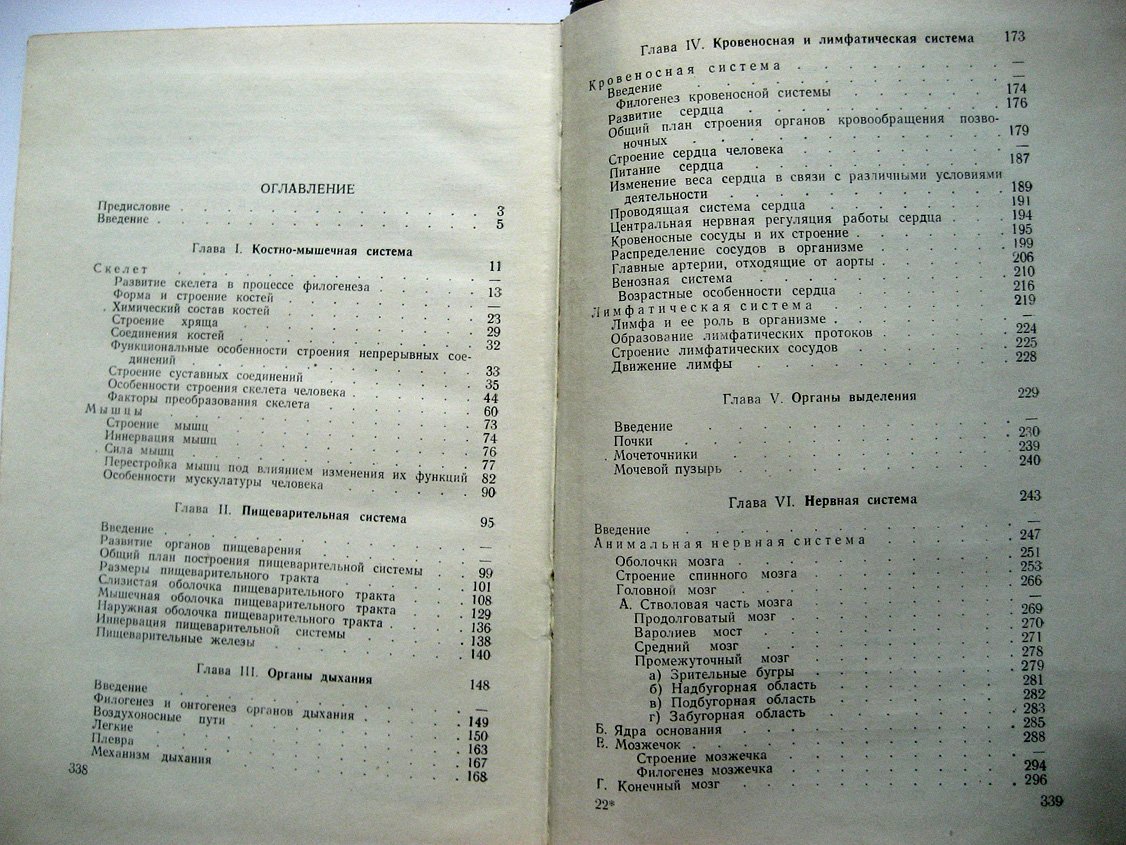 Ковешникова А., Клебанова Е., Яковлева Е. Очерки по функциональной анатомии человека.