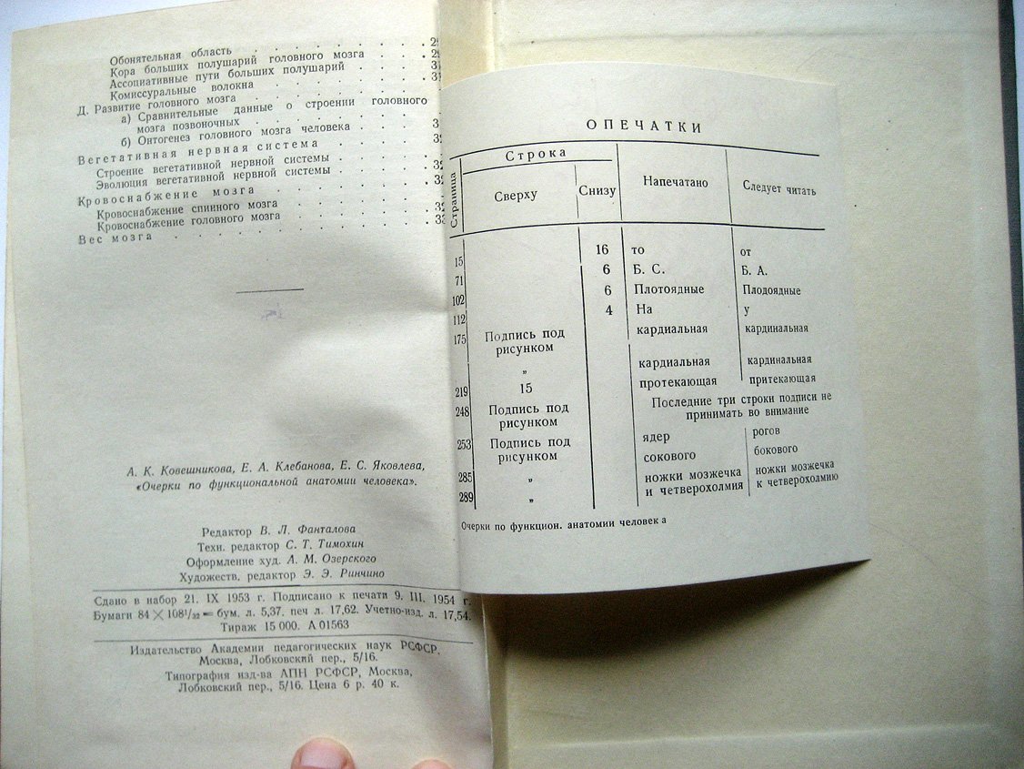 Ковешникова А., Клебанова Е., Яковлева Е. Очерки по функциональной анатомии человека.
