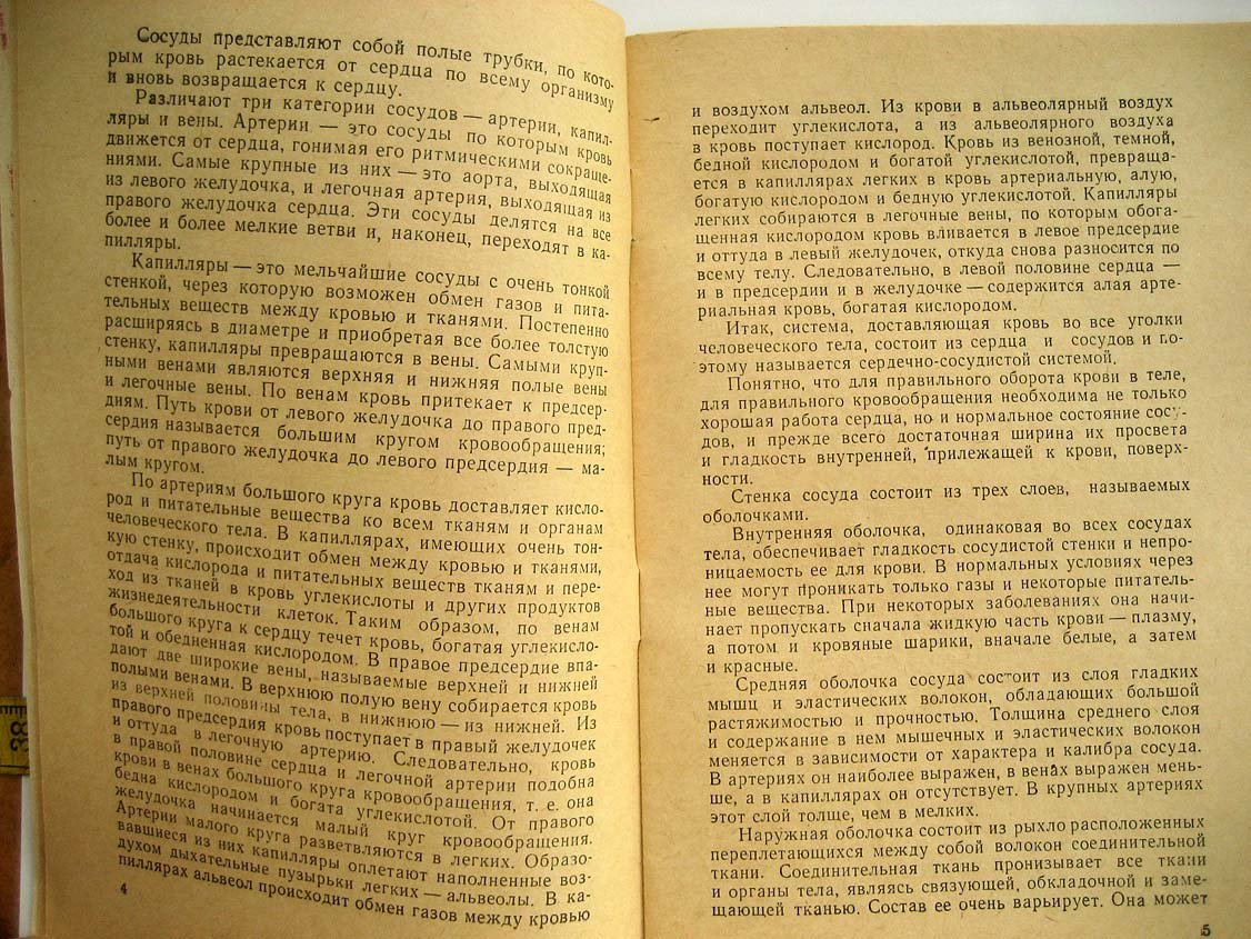 Георгиевская Л. Гипертоническая болезнь и атеросклероз.