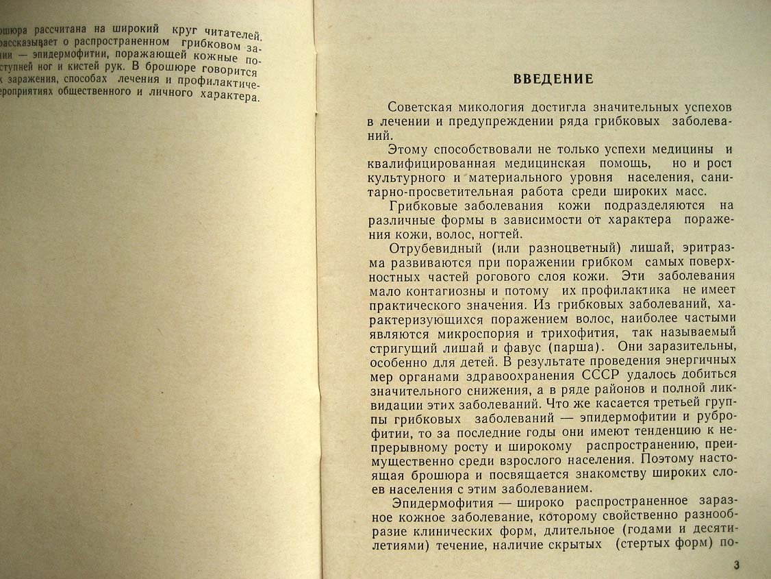 Куценко А. Предупреждение грибковых заболеваний (эпидермофитии).