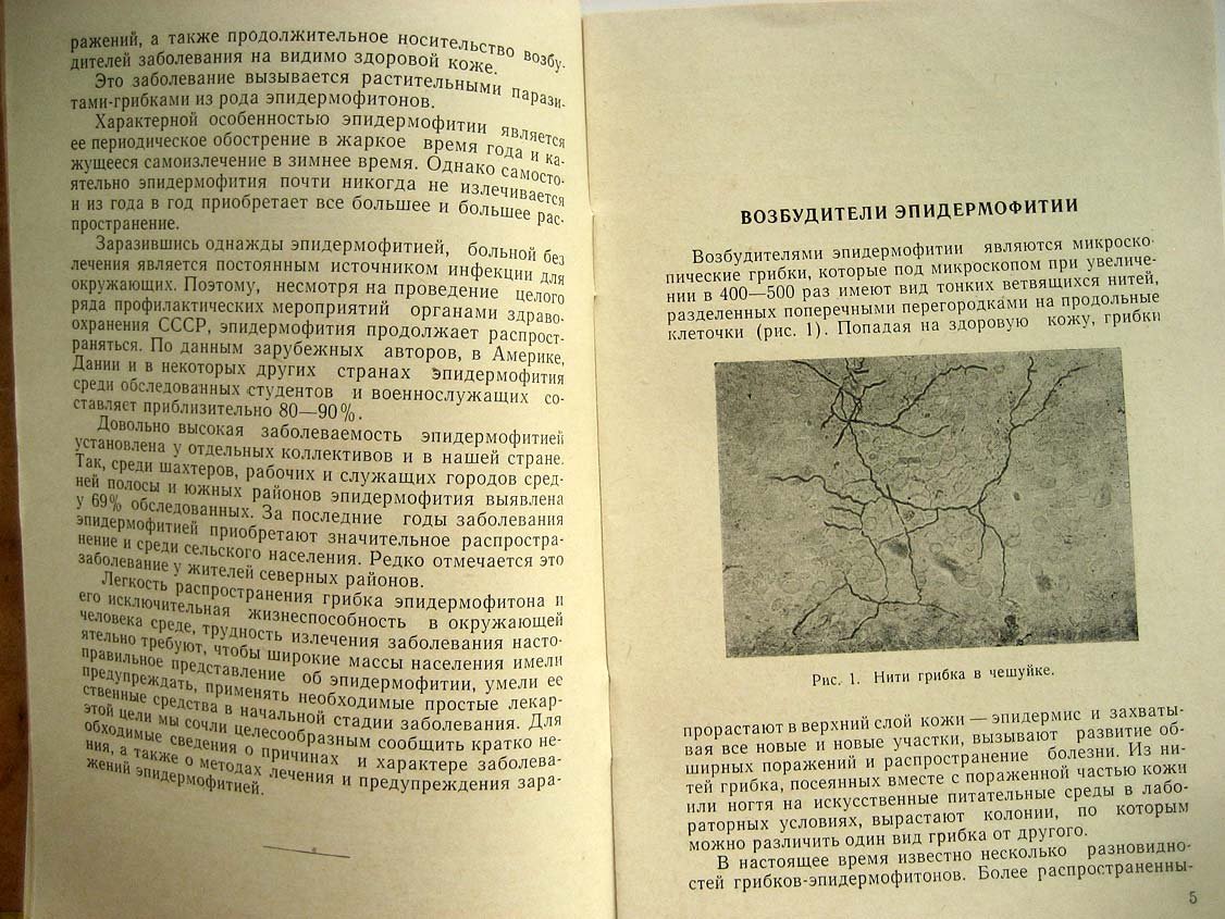Куценко А. Предупреждение грибковых заболеваний (эпидермофитии).