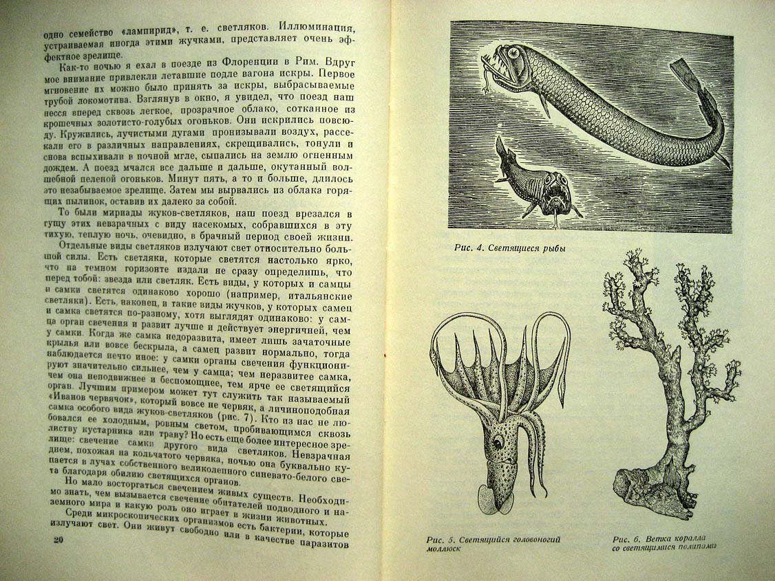 Лункевич В. Занимательная биология.