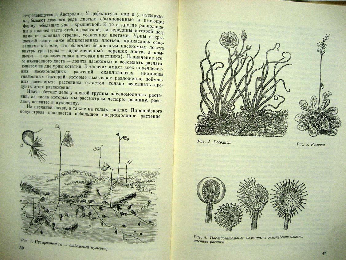 Лункевич В. Занимательная биология.
