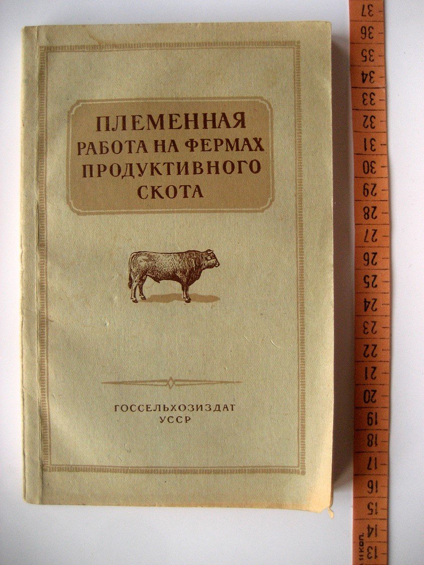 Племенная работа на фермах продуктивного скота.
