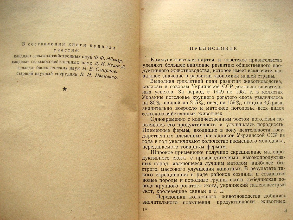 Племенная работа на фермах продуктивного скота.