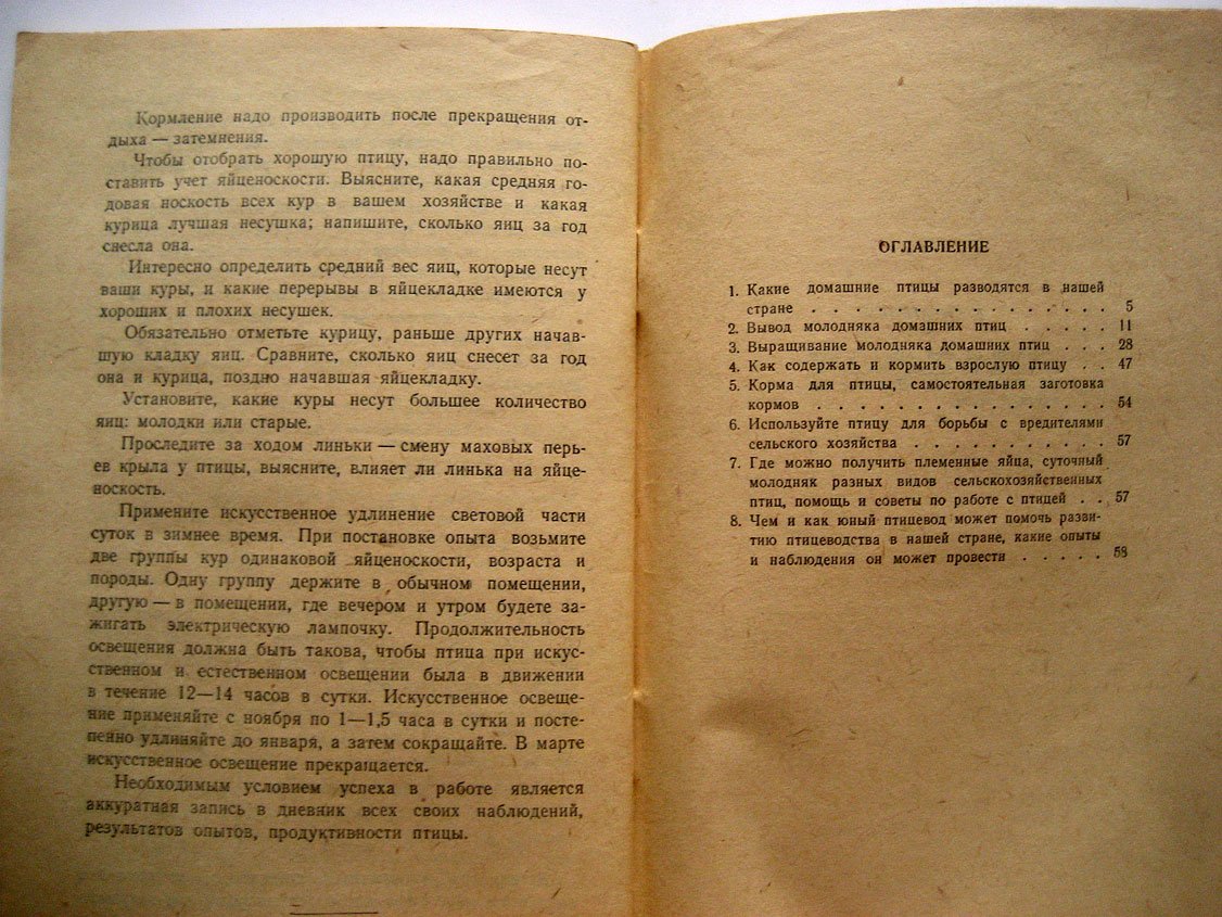 Третьяков Н. Как ухаживать за домашней птицей.