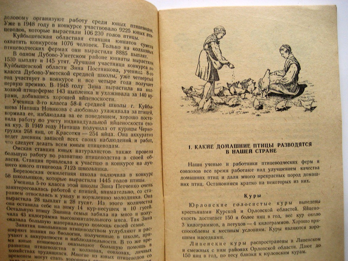 Третьяков Н. Как ухаживать за домашней птицей.
