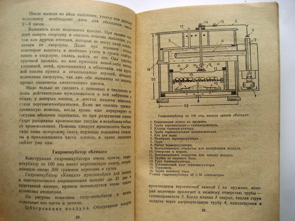 Третьяков Н. Как ухаживать за домашней птицей.