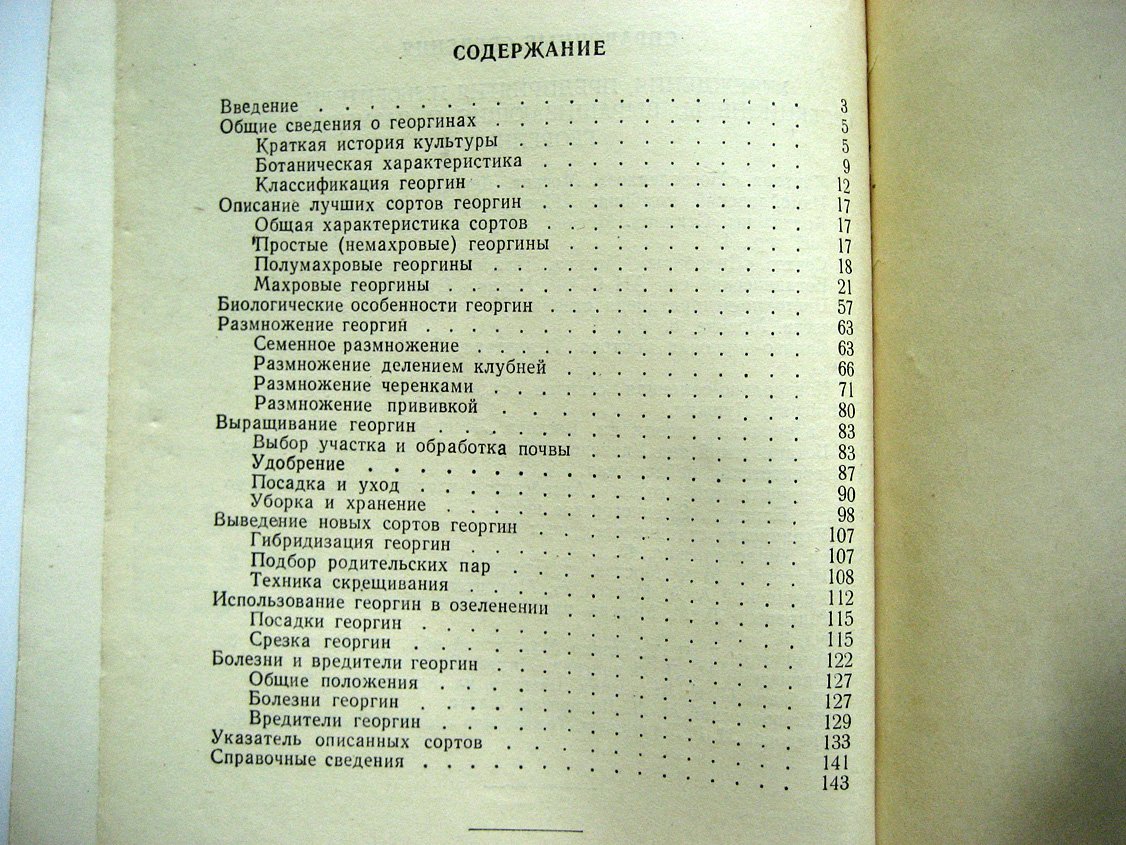 Заливский И. Георгины.