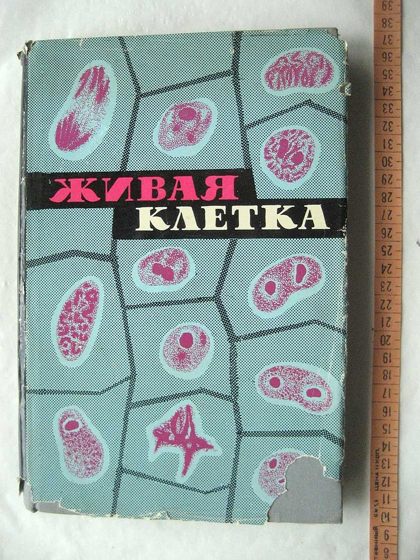 Живая клетка.