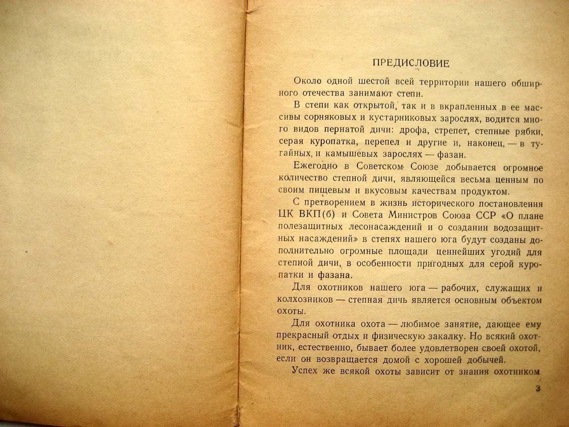 Рябов В. Охота на степную дичь.