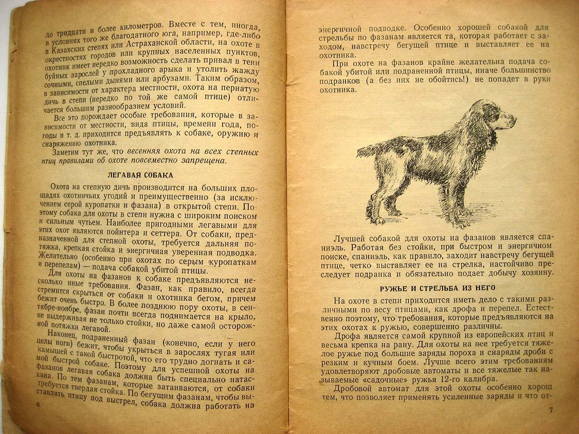 Рябов В. Охота на степную дичь.