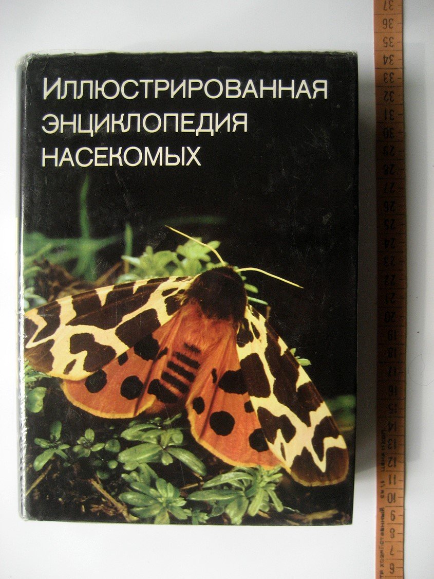 Станек В. Иллюстрированная энциклопедия насекомых.