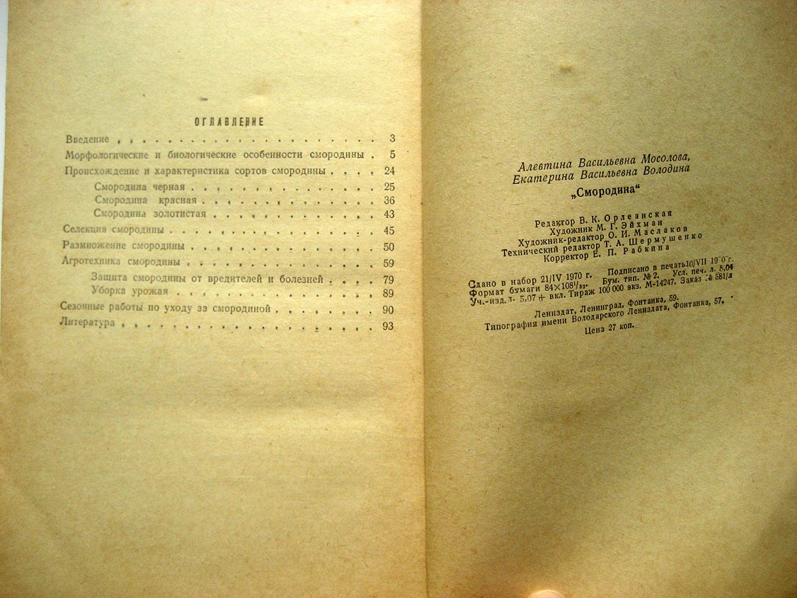 Мосолова А., Володина Е. Смородина.