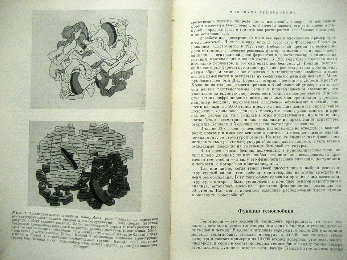 Молекулы и клетки.