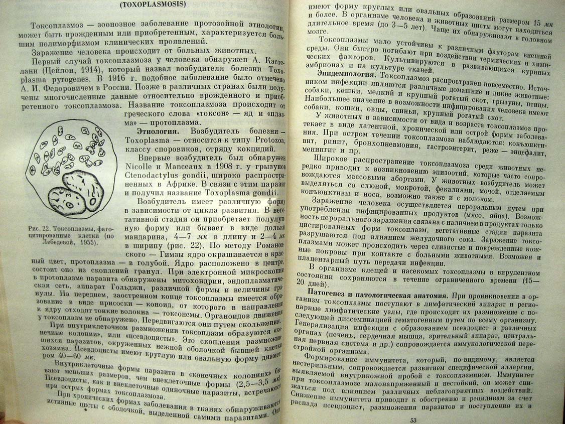Шувалова Е. Тропические болезни.