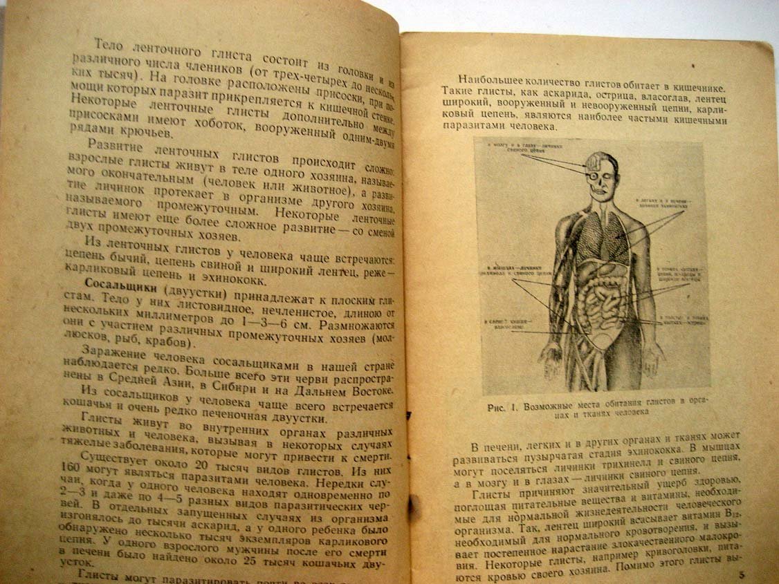 Перельман Н. Глисты и борьба с ними.