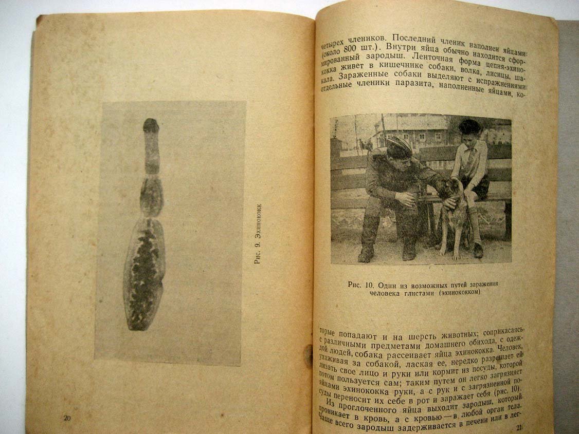 Перельман Н. Глисты и борьба с ними.