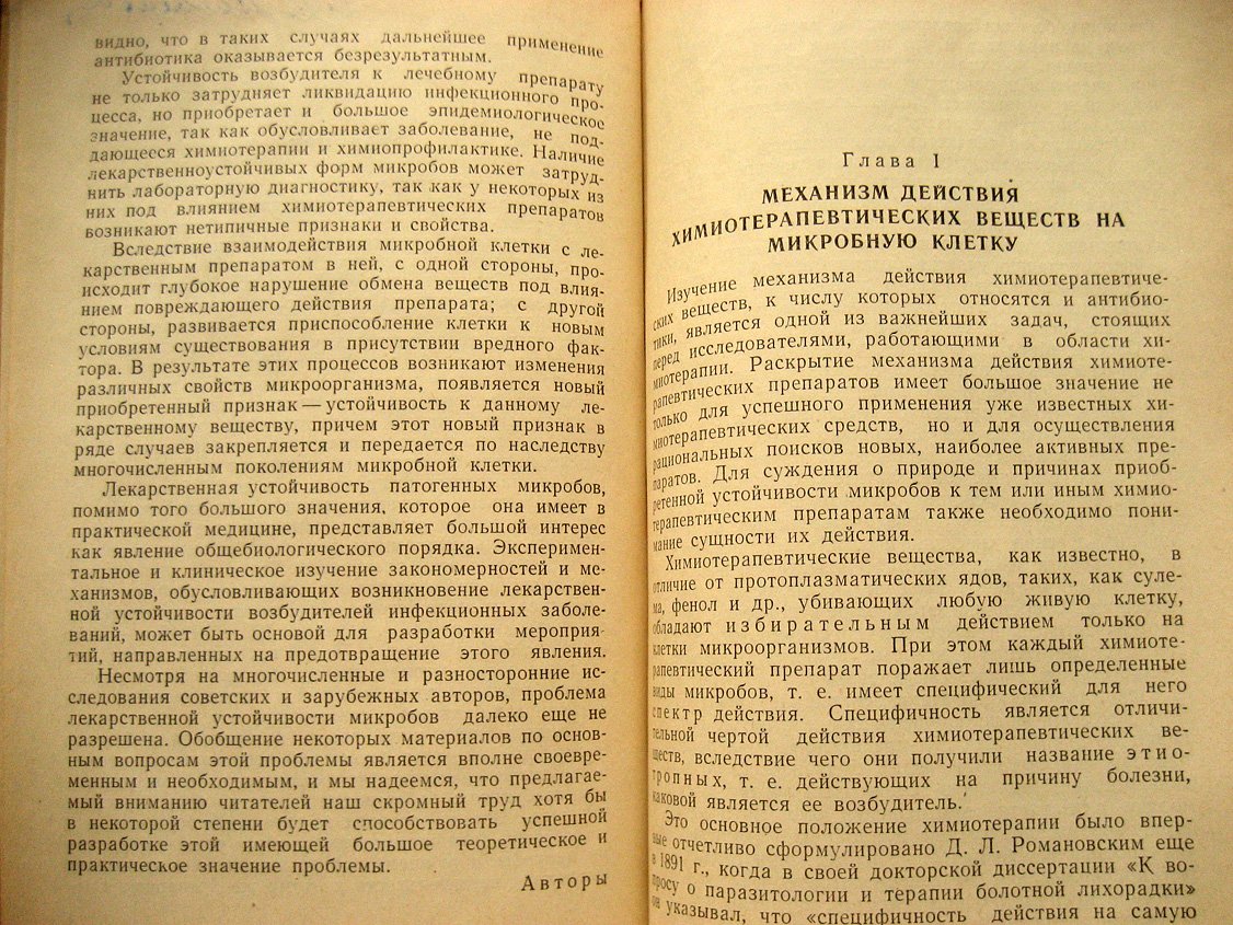 Лебедева М., Воропаева С. Лекарственная устойчивость микроорганизмов.