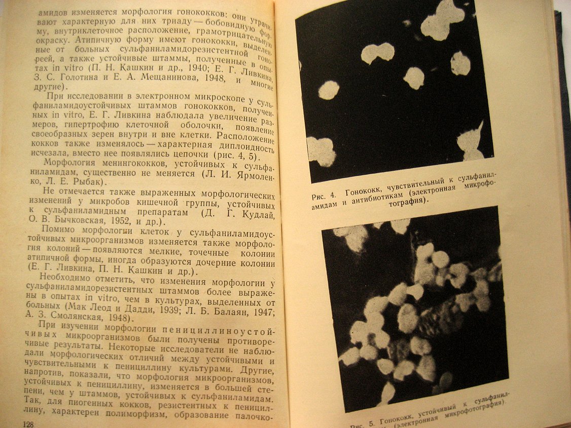 Лебедева М., Воропаева С. Лекарственная устойчивость микроорганизмов.