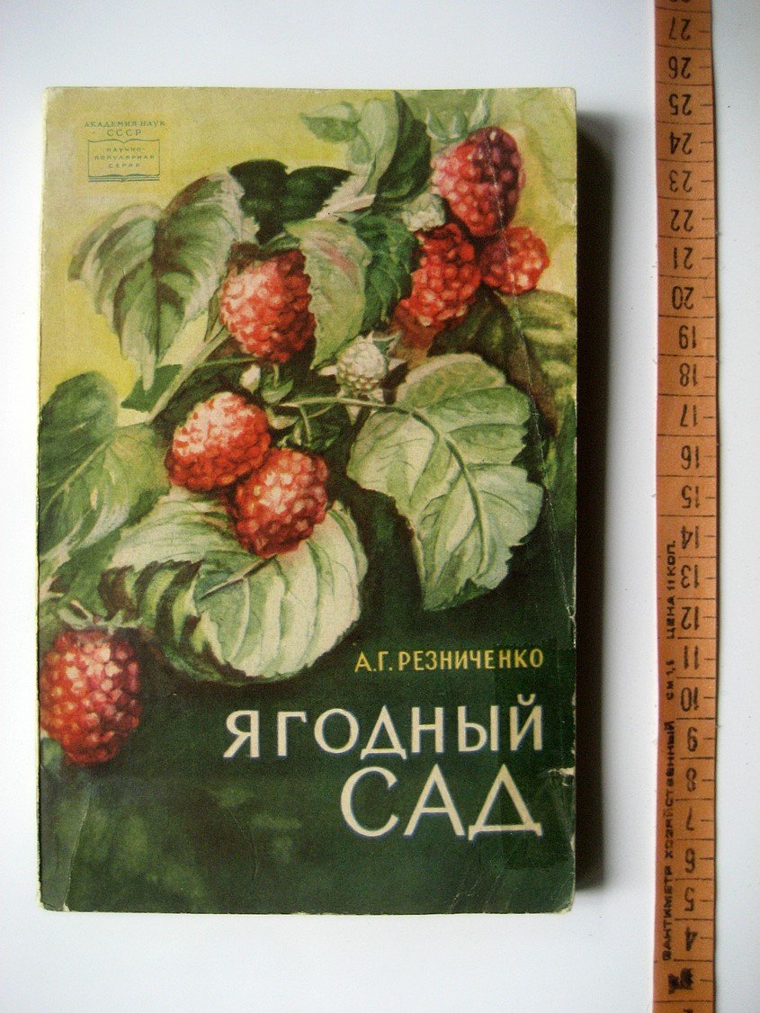 Резниченко А. Ягодный сад.