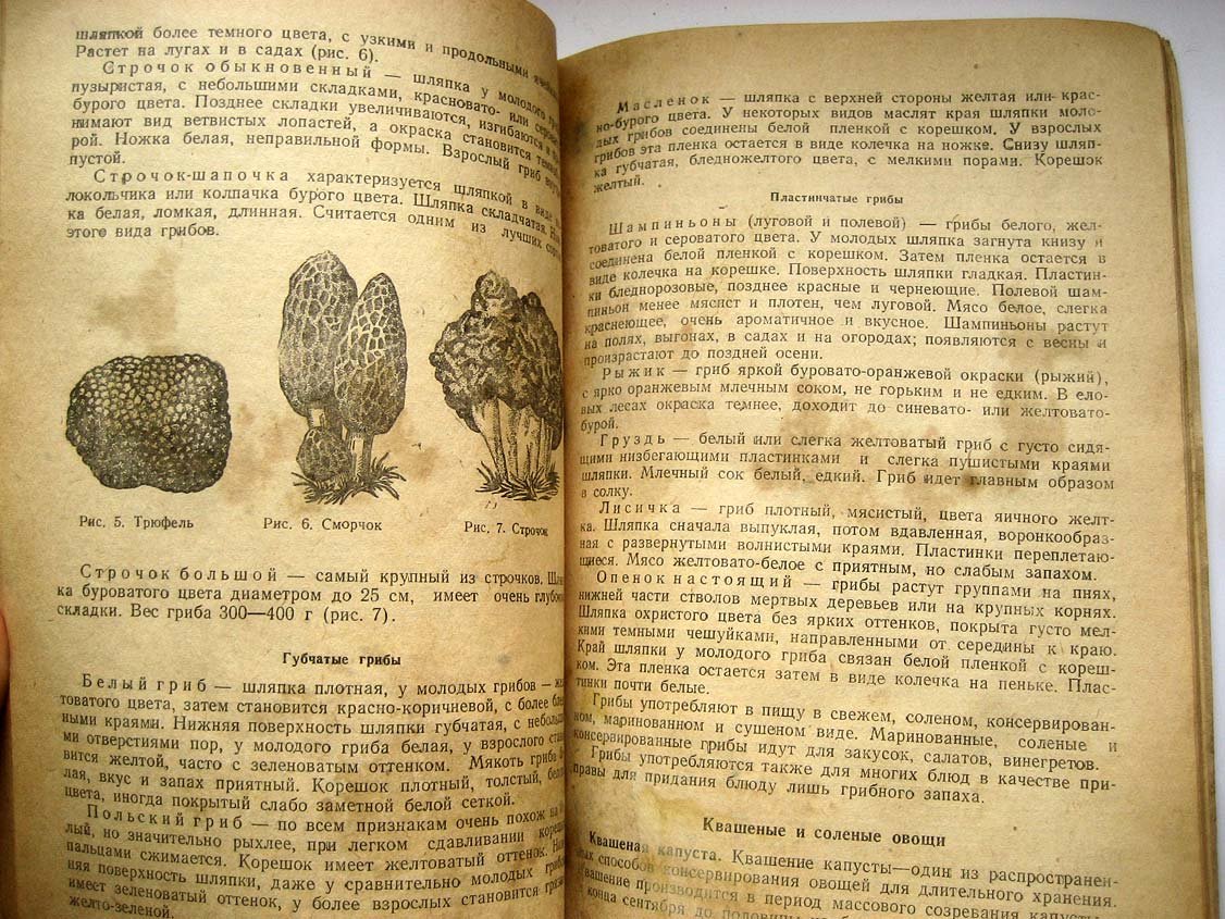 Аникин Л. Овощи.