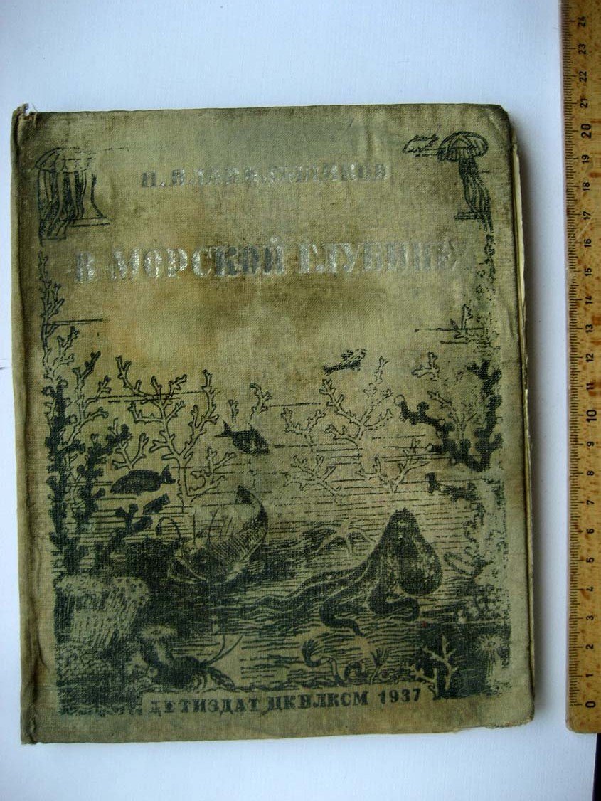 Плавильщиков Н. В морской глубине.