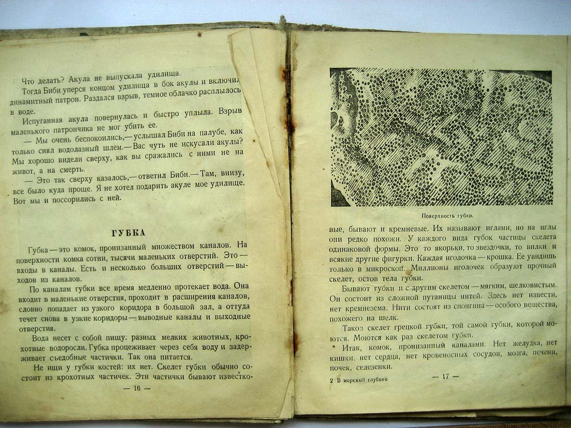Плавильщиков Н. В морской глубине.