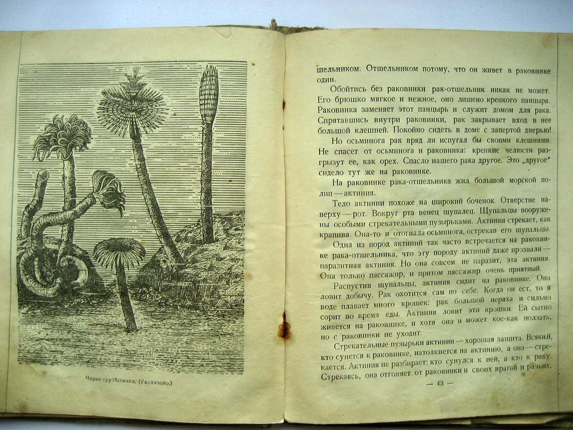 Плавильщиков Н. В морской глубине.