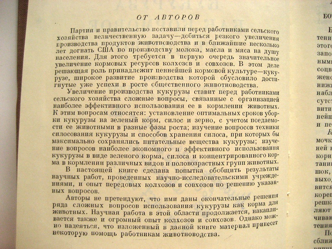 Кукуруза как кормовое средство.