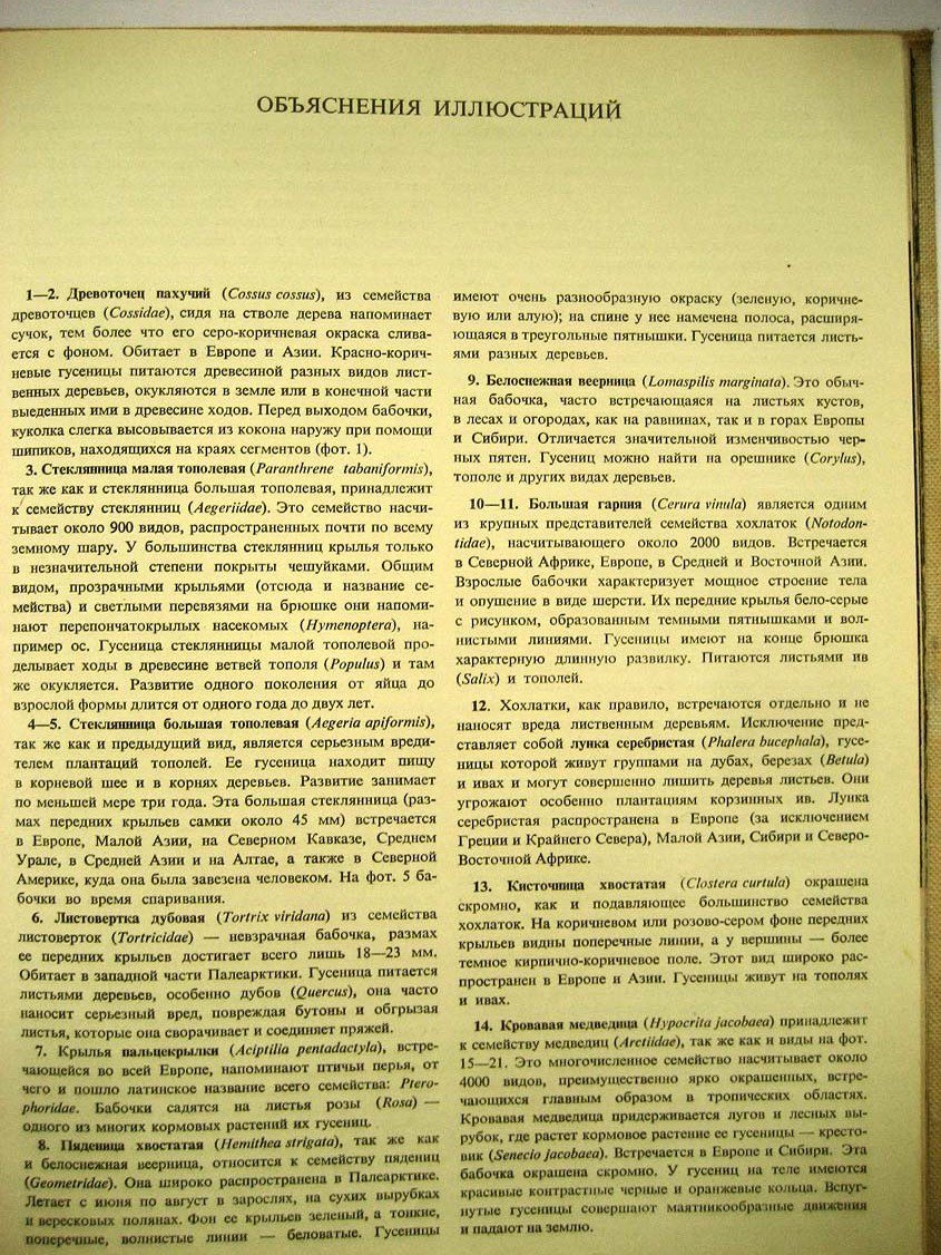 Стройны В. Бабочки.