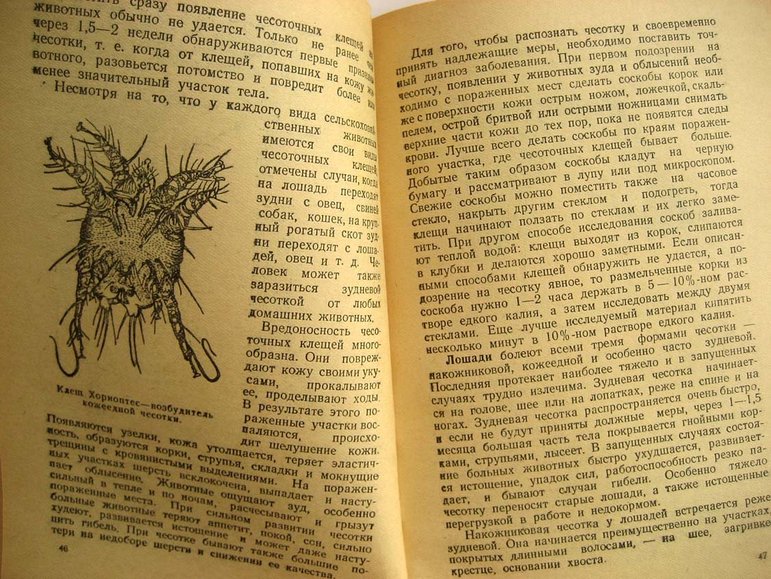 Курчатов В. Клещи и насекомые, вредящие сельскохозяйственным животным, и меры борьбы с ними