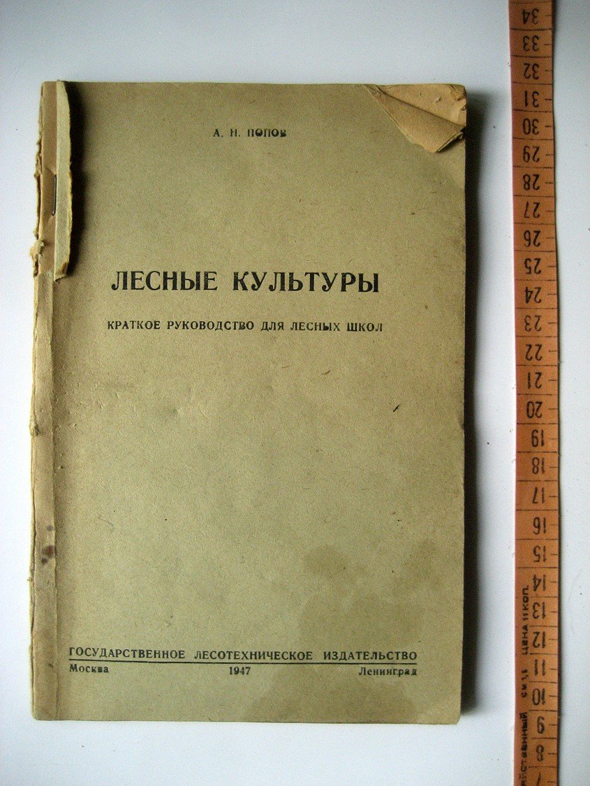 Попов А. Лесные культуры. Краткое руководство для лесных школ