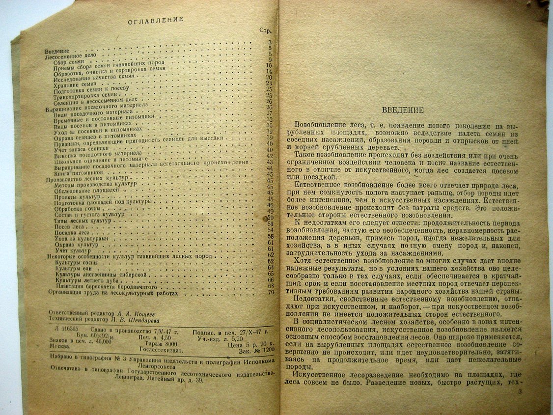 Попов А. Лесные культуры. Краткое руководство для лесных школ