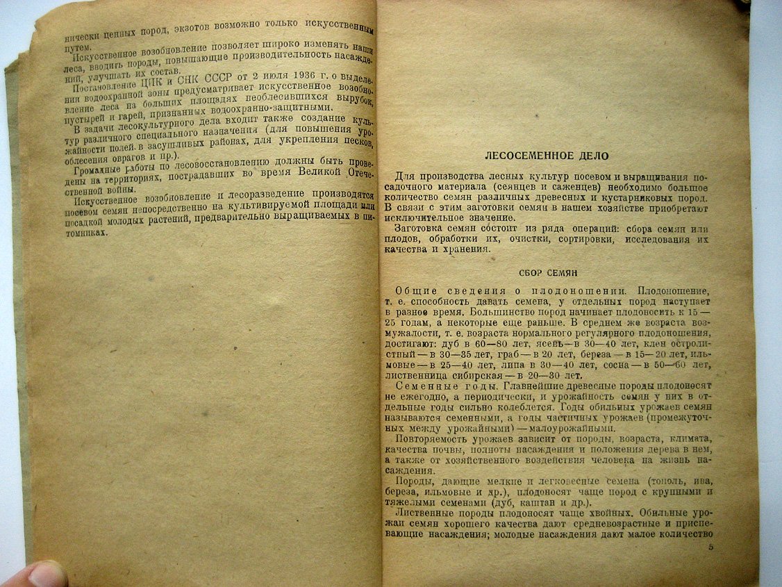 Попов А. Лесные культуры. Краткое руководство для лесных школ