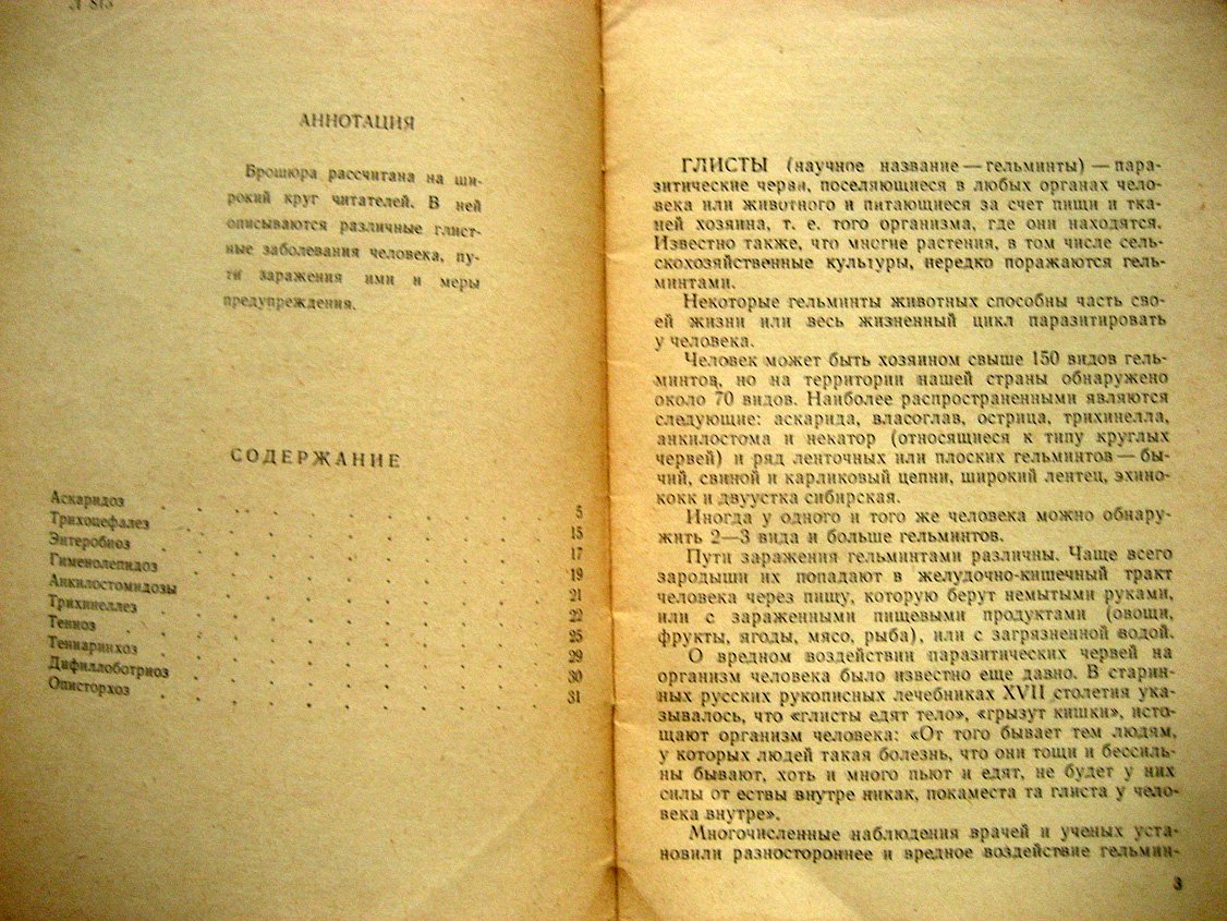 Лохманенко В. Глистные заболевания и их предупреждение.
