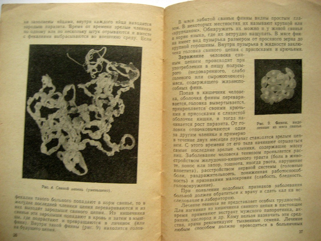 Лохманенко В. Глистные заболевания и их предупреждение.