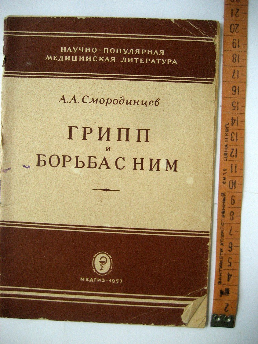 Смородинцев А. Грипп и борьба с ним.