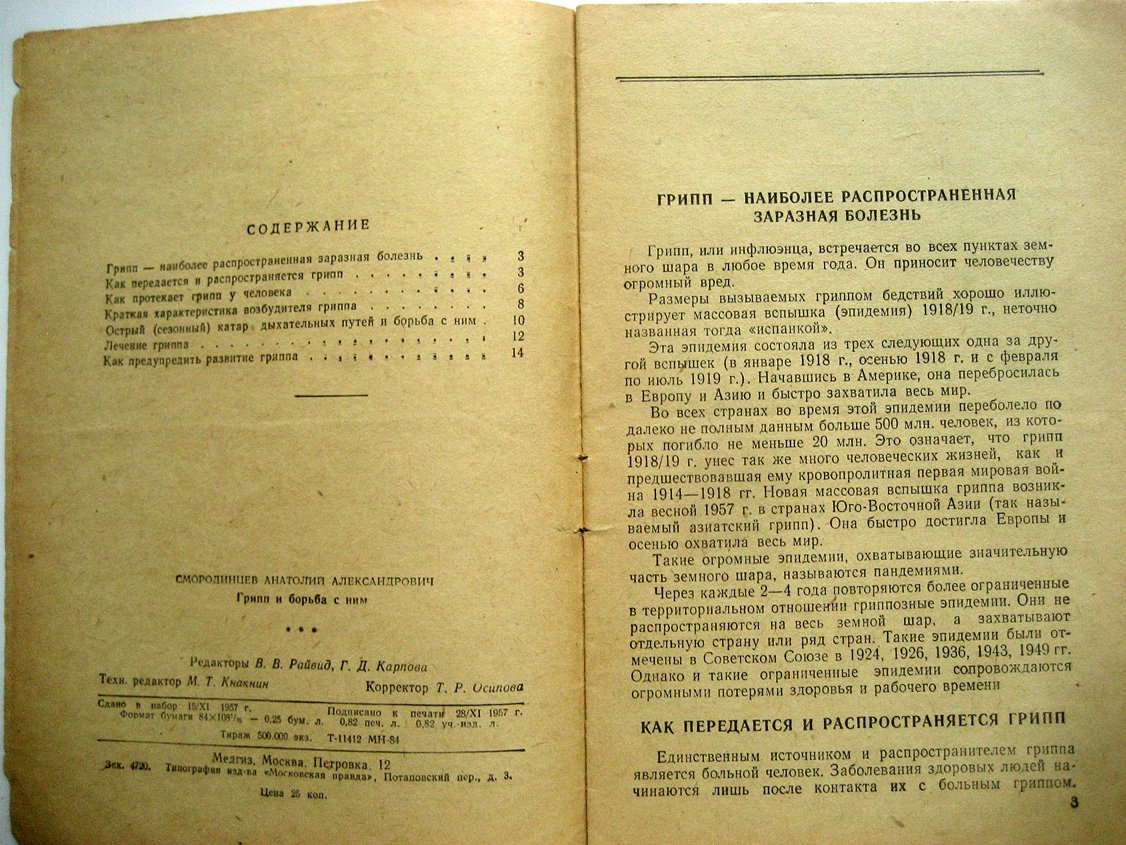 Смородинцев А. Грипп и борьба с ним.