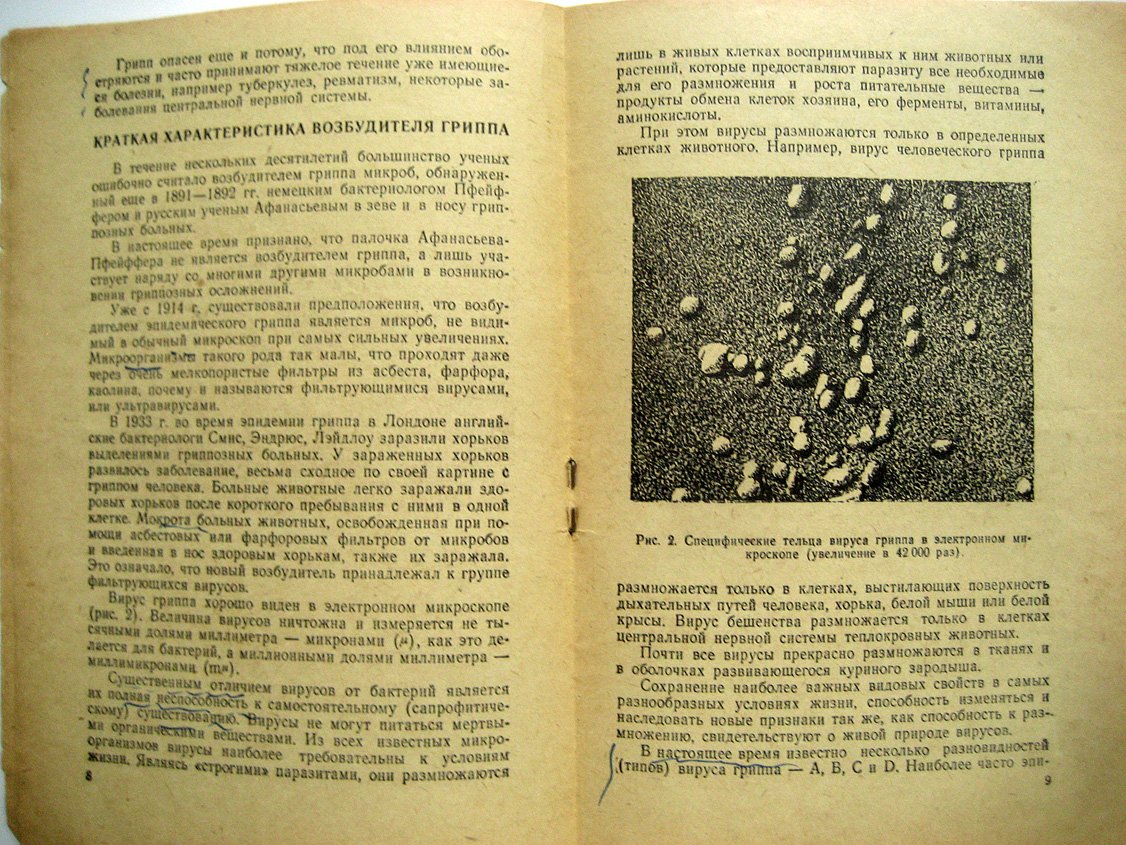 Смородинцев А. Грипп и борьба с ним.