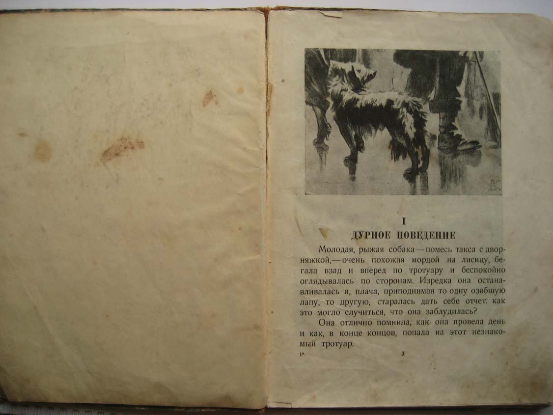 Чехов А. Каштанка.