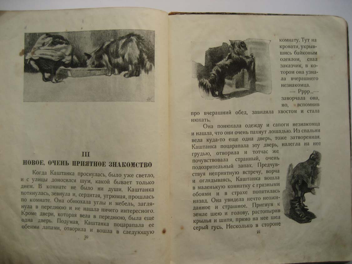 Чехов А. Каштанка.