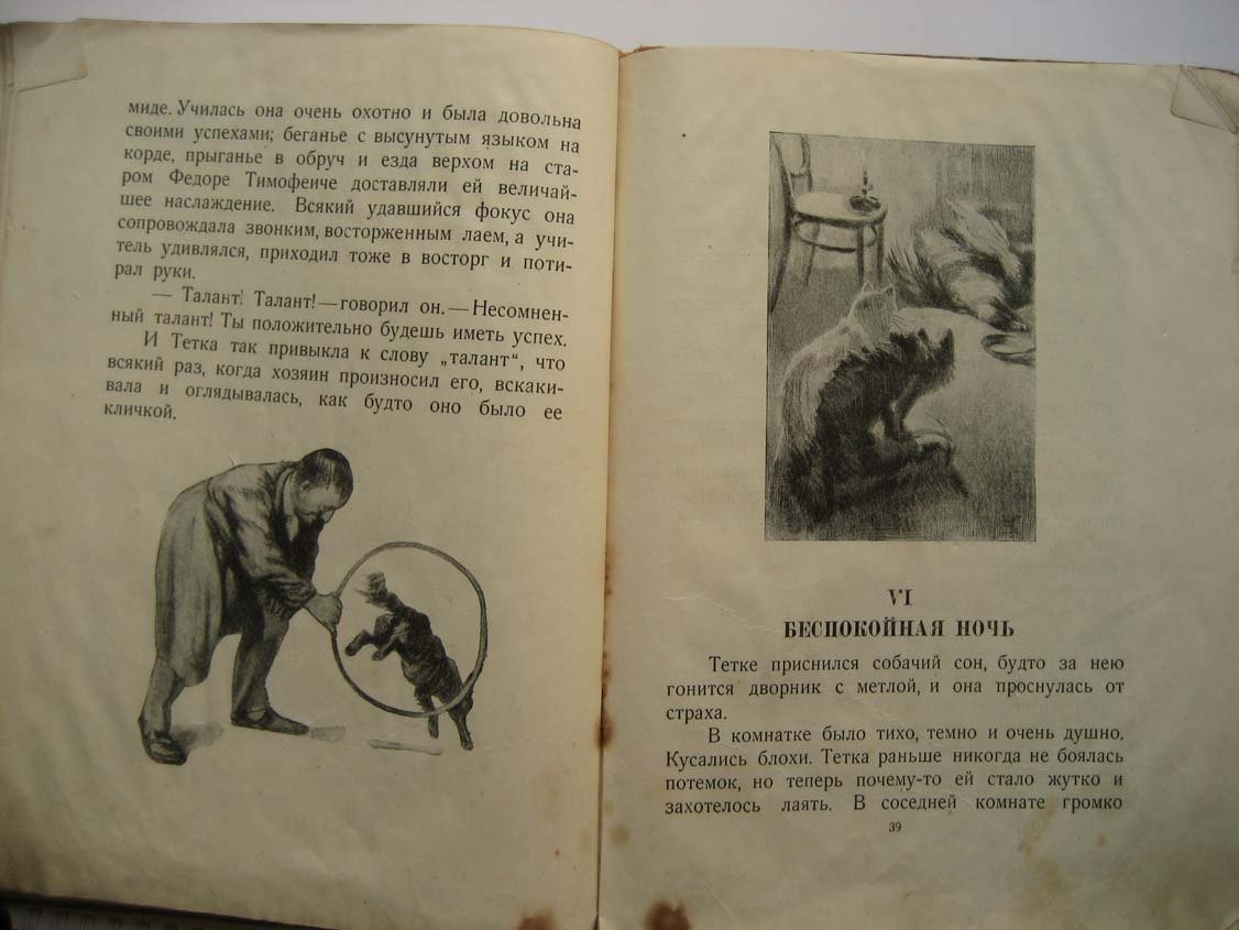 Чехов А. Каштанка.