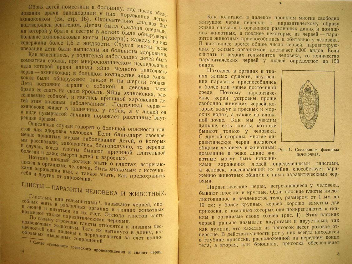 Смирнов Г. Берегись глистов.